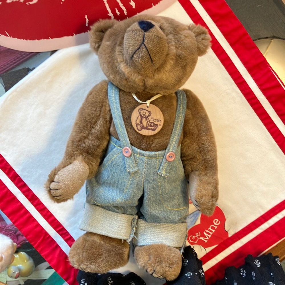 Bonita Teddy Bear 🧸